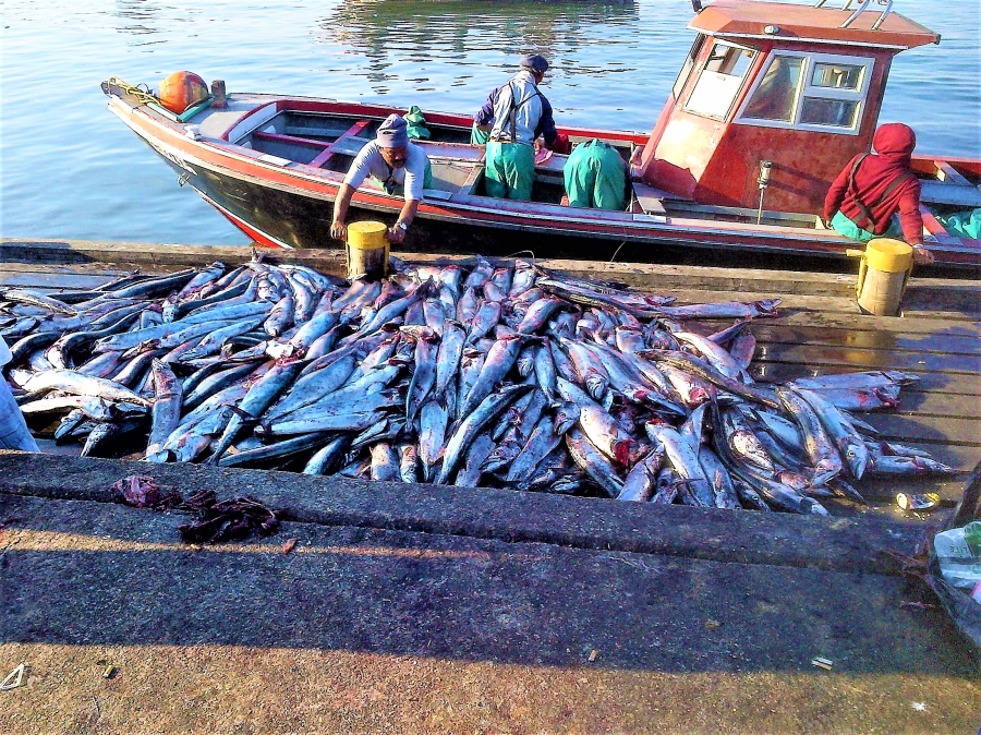 3 Bedroom Property for Sale in Steenbergs Cove Western Cape